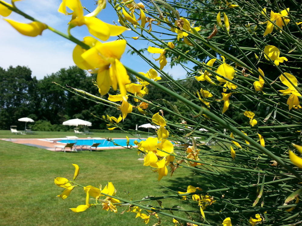 Pratello Country Resort Ghizzano Esterno foto